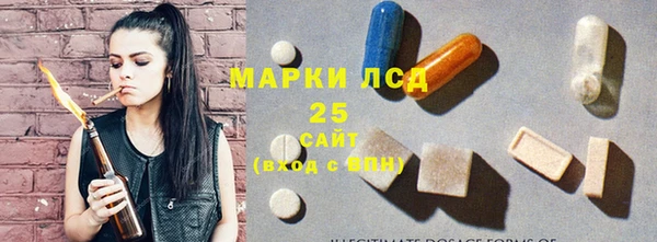 PSILOCYBIN Белоозёрский